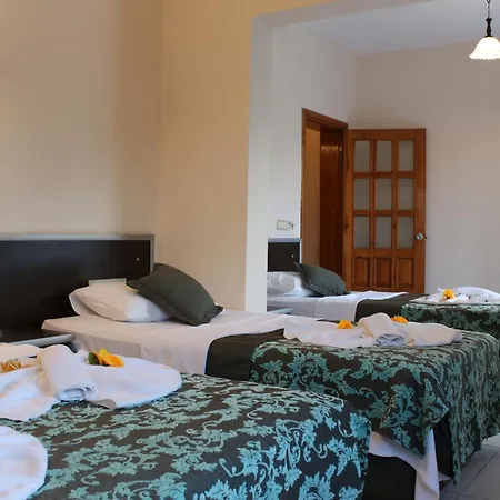 Hotel Gold Stone